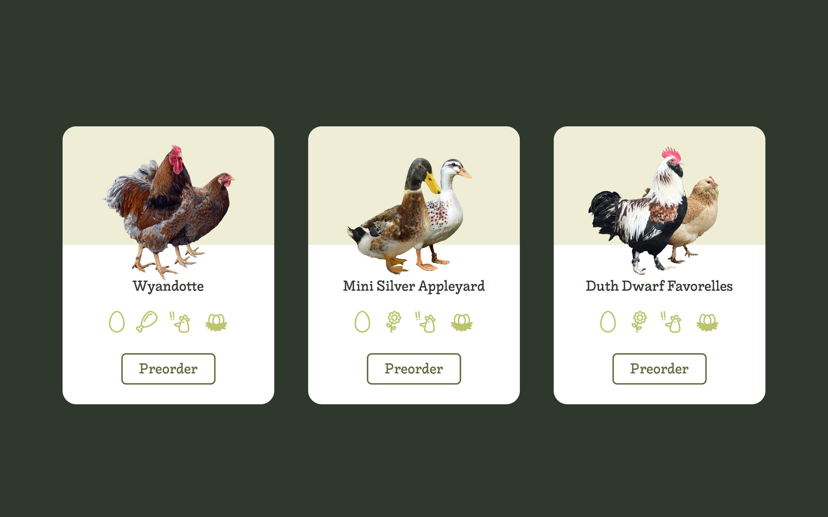Il Giardino Dei Polli - UI